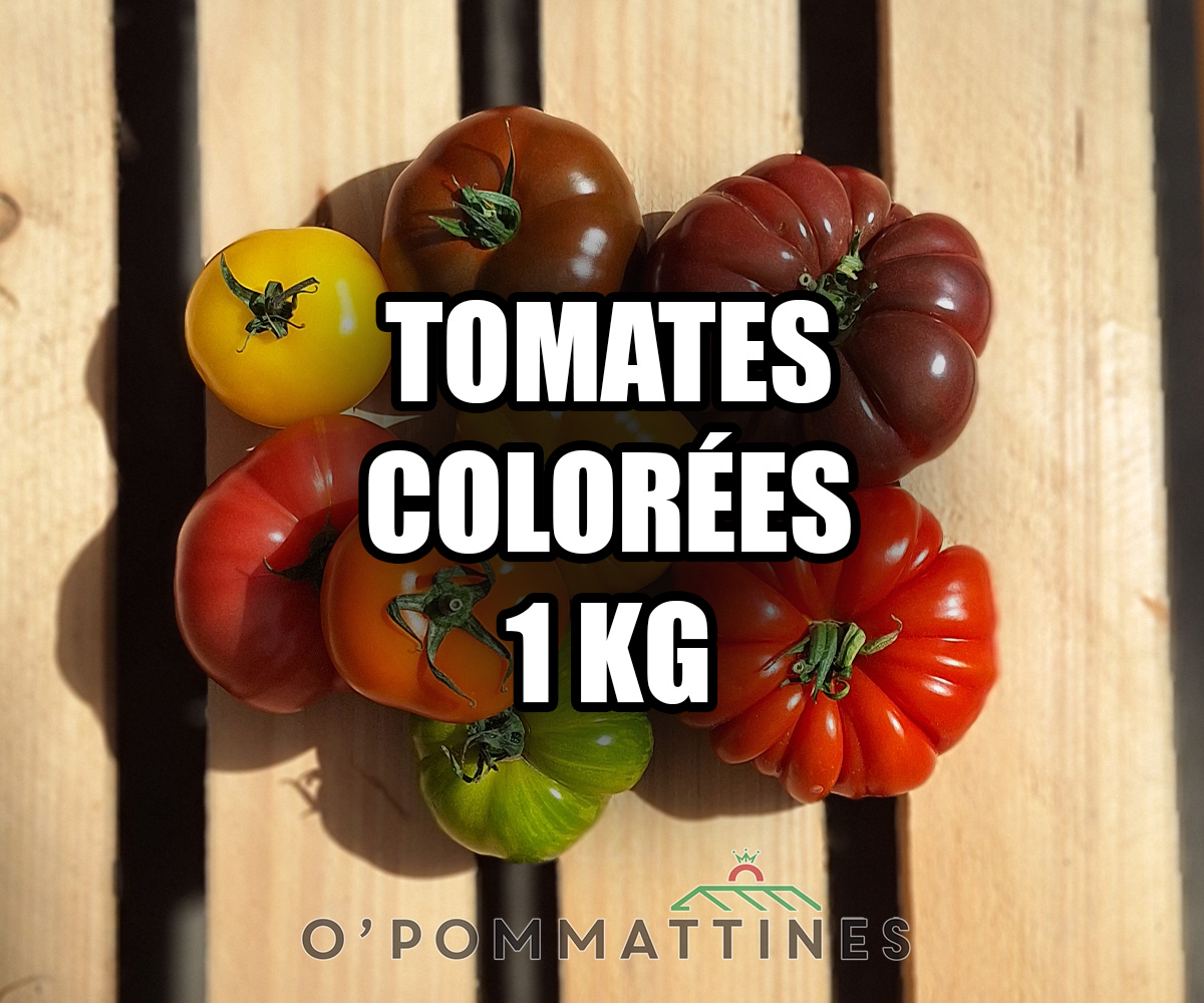 Tomates mélange 1kg